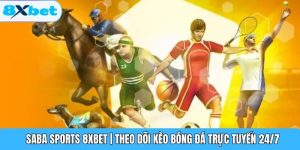 Saba Sports 8XBET | Theo Dõi Kèo Bóng Đá Trực Tuyến 24/7
